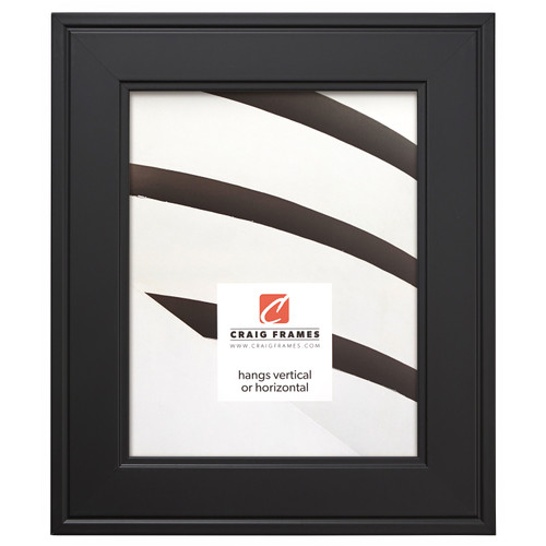 Contemporary Inspirations 2", Satin Black Picture Frame