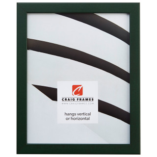 Colori 0.75", Green Picture Frame