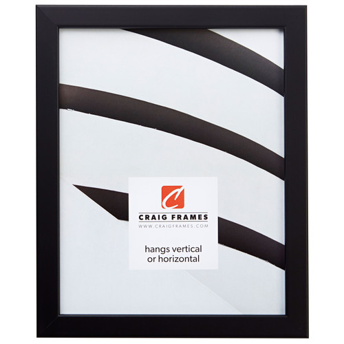 Bauhaus 0.75", Black Satin Mica Picture Frame
