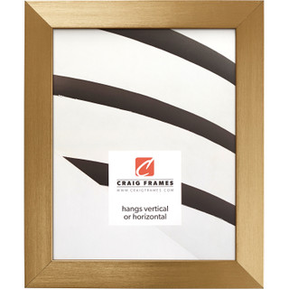 Modern Aesthetics 125 1.25", Brushed Gold Picture Frame