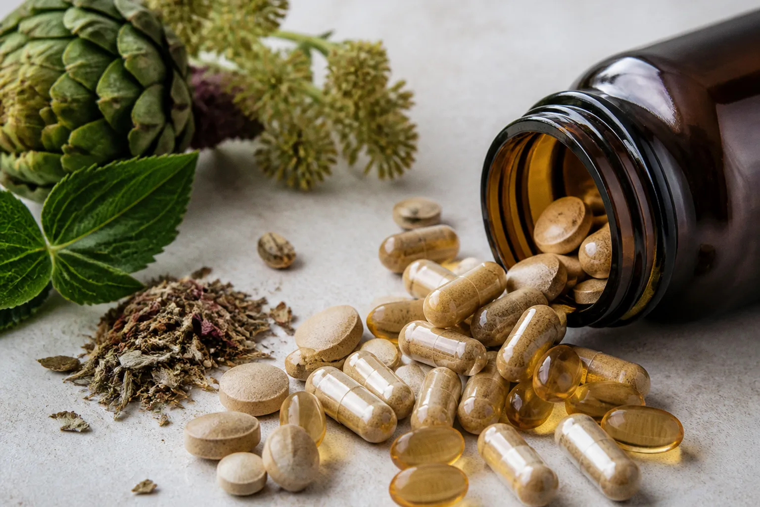 The Filtration Matrix: An Analysis of Hepatic Botanical Compounds